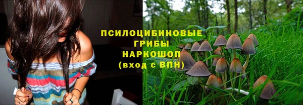 винт Красноперекопск