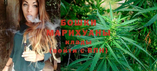 PSILOCYBIN Краснотурьинск