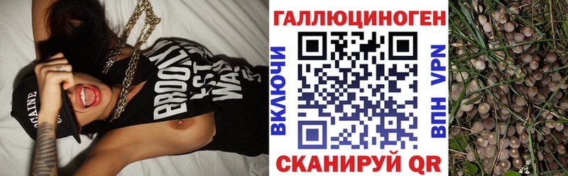 Купить  Бутурлиновка  Галлюциногенные грибы Magic Shrooms 